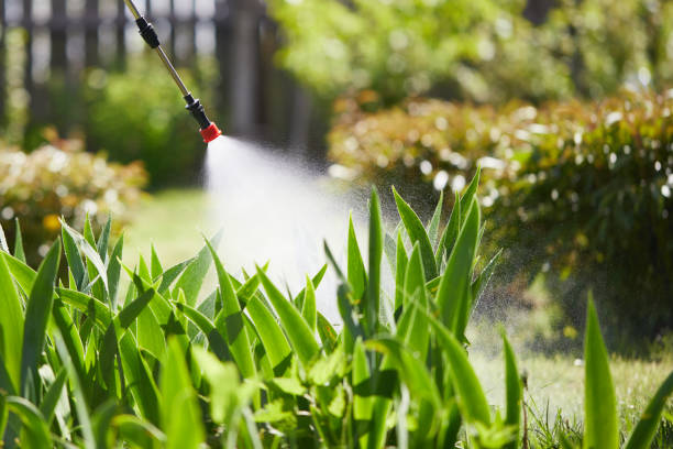Tamper-Resistant Bait Stations for Rodents in Vista Santa Rosa