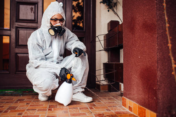 Attic and Crawl Space Rodent Treatment in Vista Santa Rosa